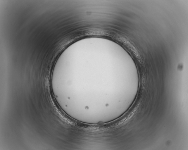 X0000097591033200803211632