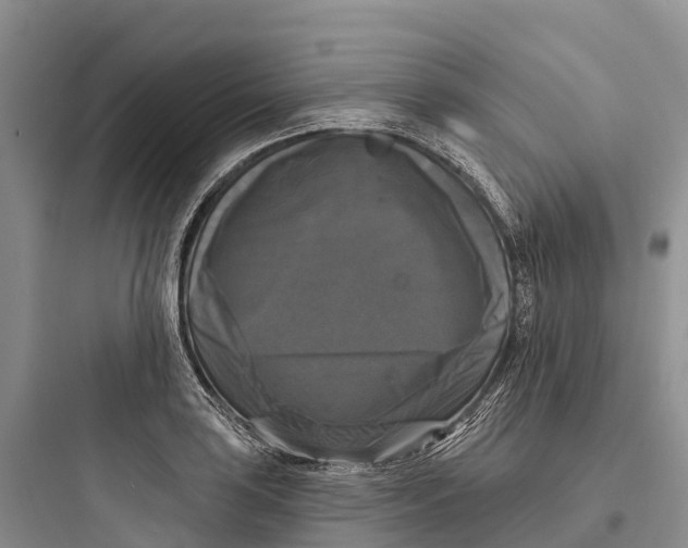 X0000097591035200803211632