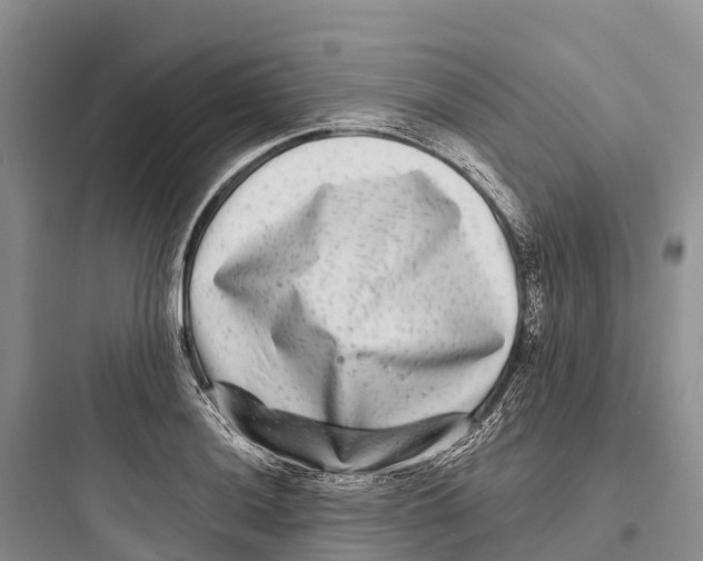 X0000097591036200803211632