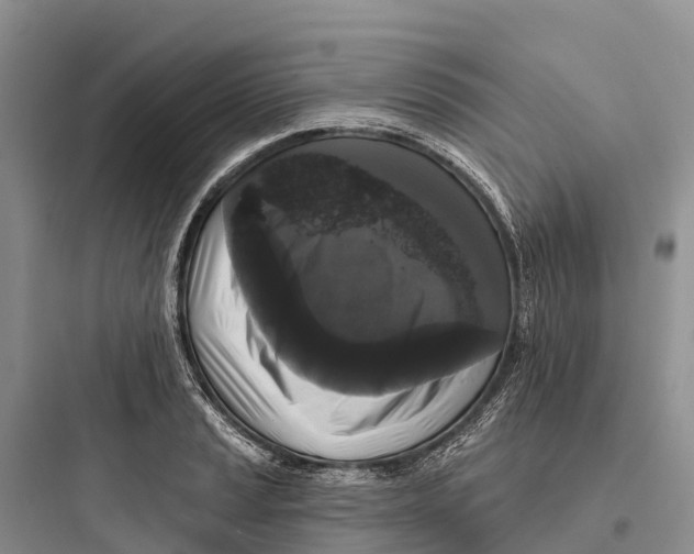 X0000097591037200803211632