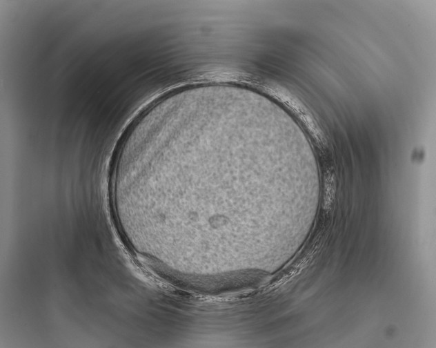 X0000097591039200803211632