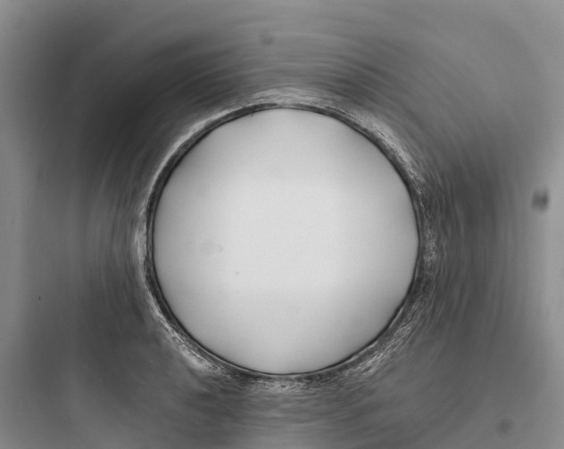 X0000097591040200803211632