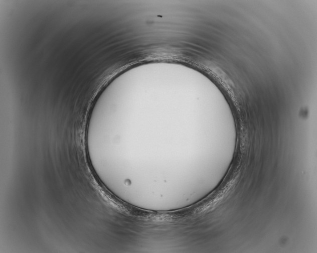 X0000097591041200803211632