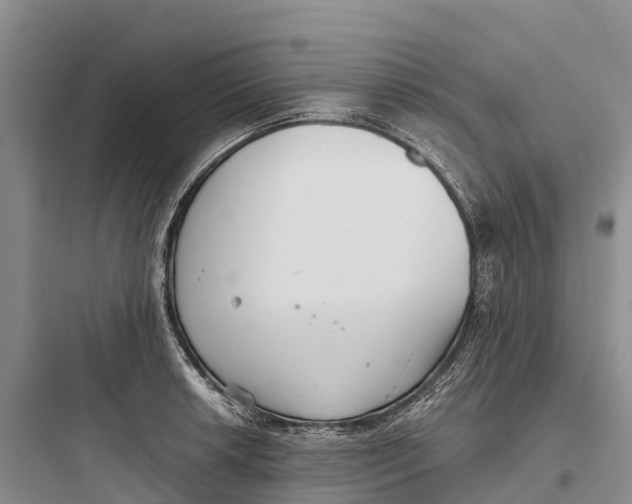 X0000097591042200803211632