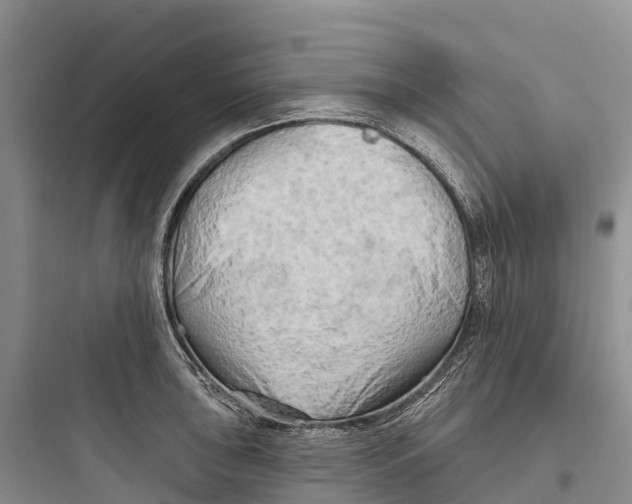 X0000097591043200803211632