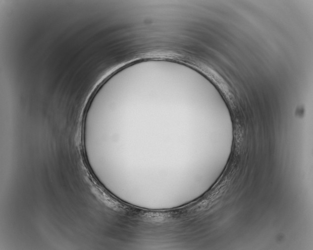 X0000097591044200803211632