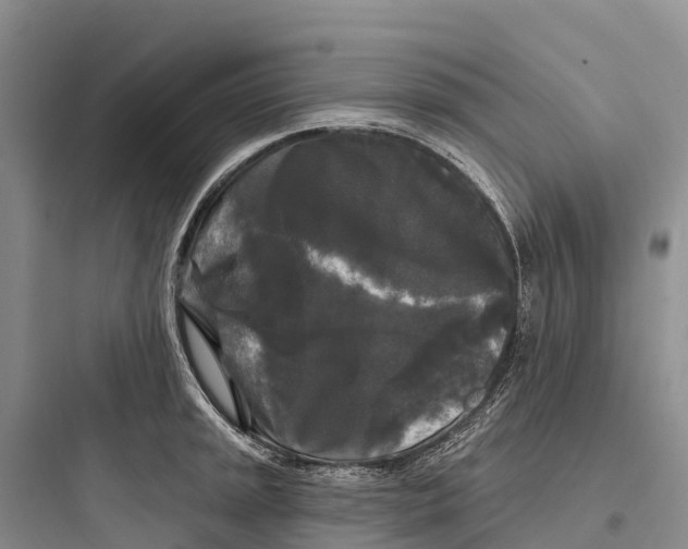 X0000097591045200803211632