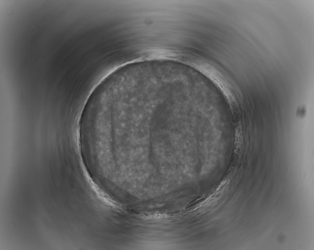 X0000097591047200803211632