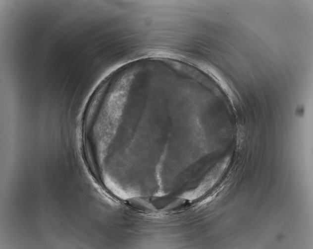 X0000097591048200803211632