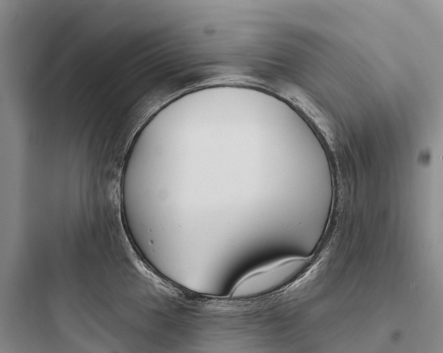 X0000097591049200803211632