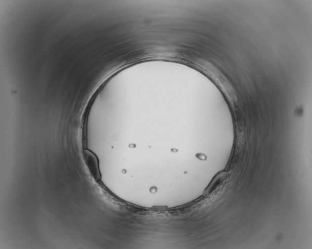 X0000097591050200803211632