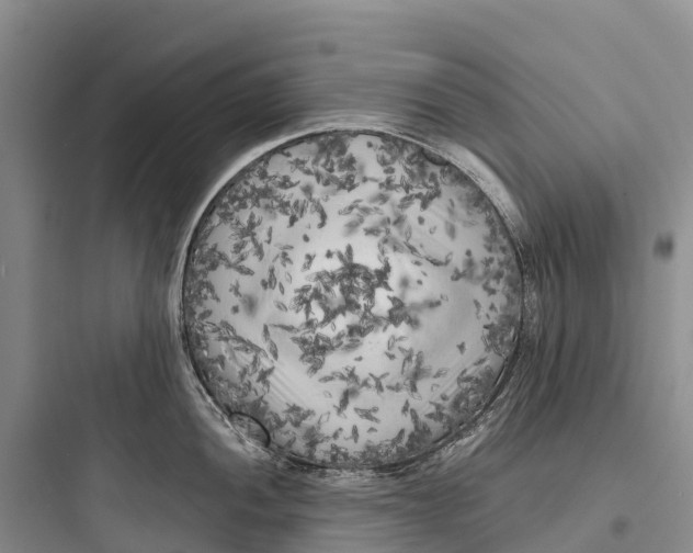 X0000097591052200803211632