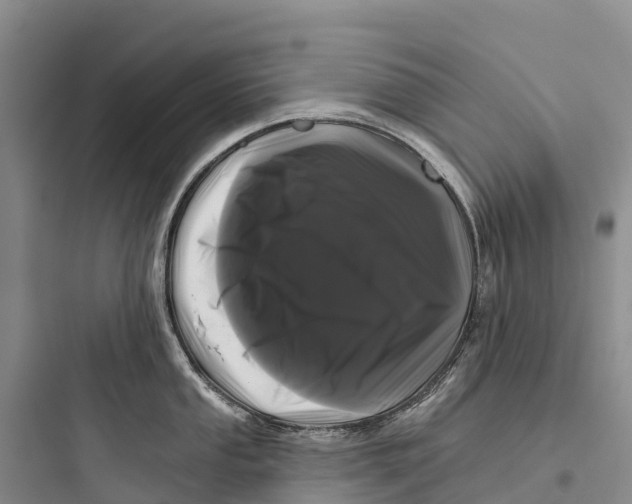 X0000097591053200803211632