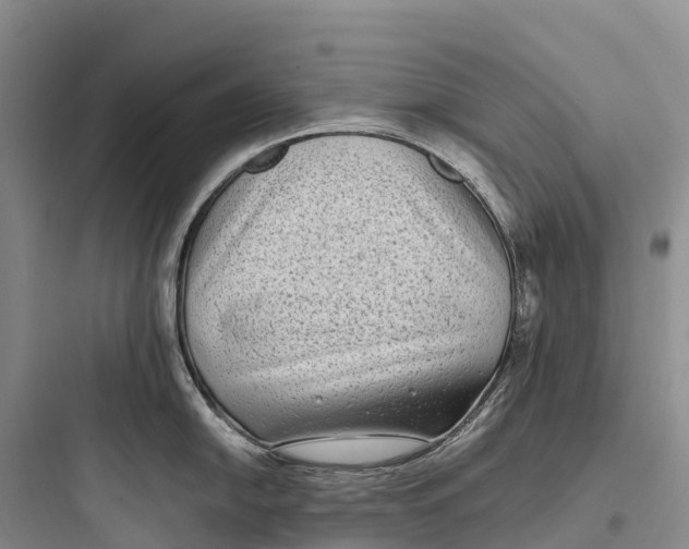 X0000097591054200803211632