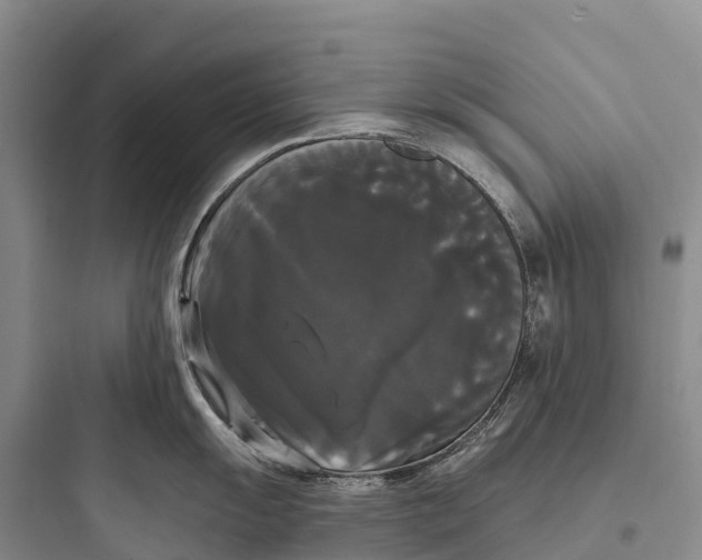 X0000097591055200803211632