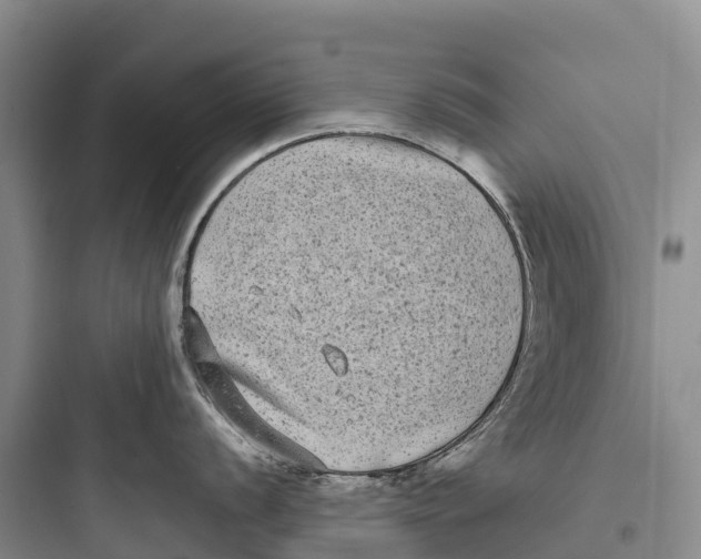 X0000097591056200803211632