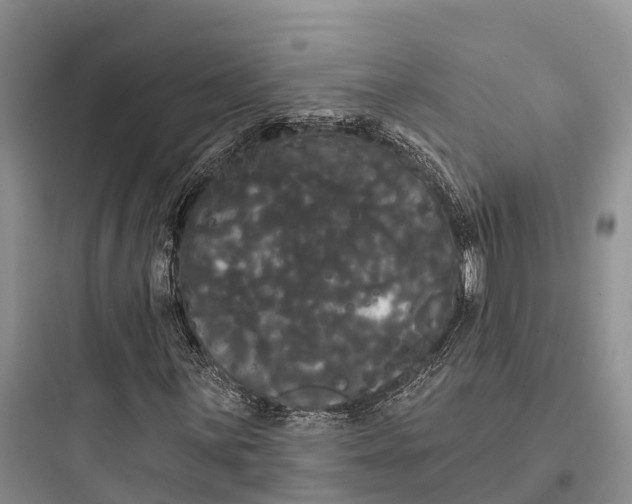 X0000097591059200803211631