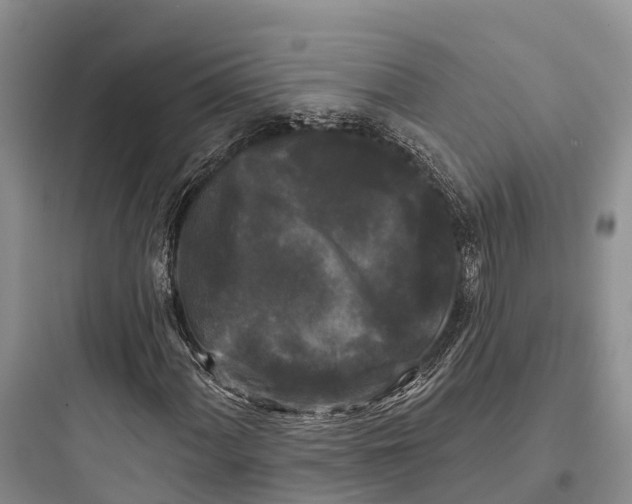 X0000097591060200803211631