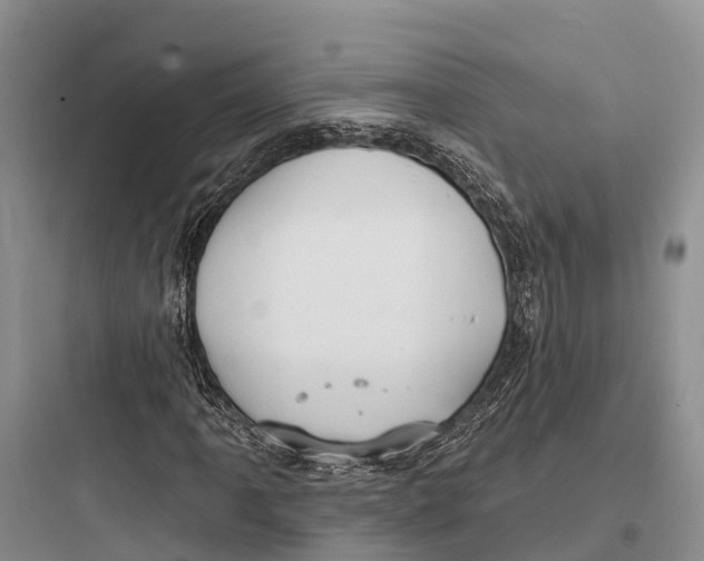 X0000097591061200803211631