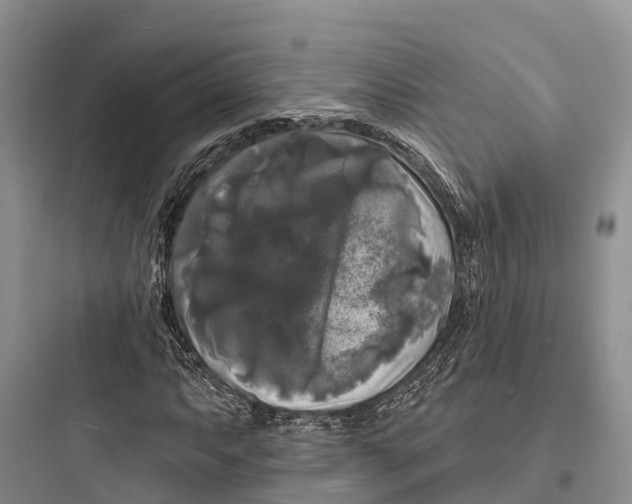 X0000097591063200803211631