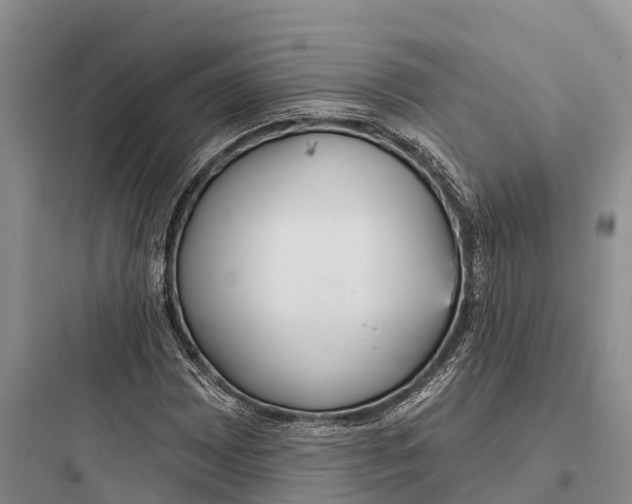 X0000097591065200803211631