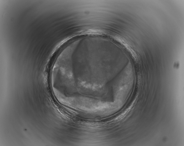 X0000097591066200803211631