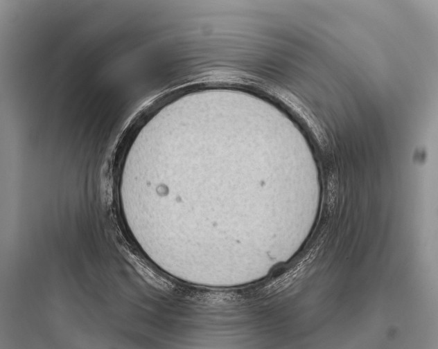 X0000097591067200803211631