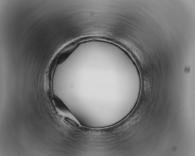 X0000097591069200803211631