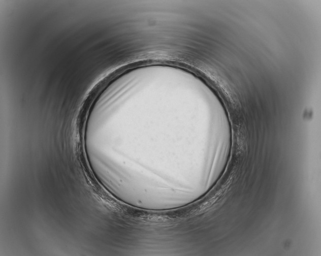 X0000097591070200803211631