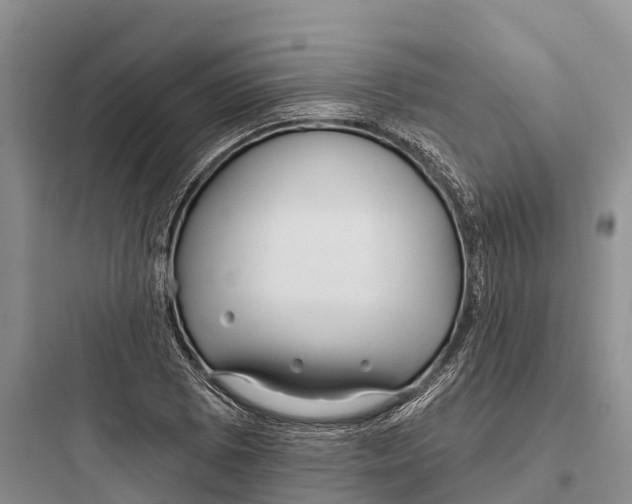 X0000097591073200803211631