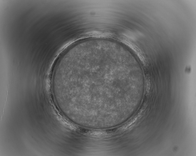 X0000097591074200803211631