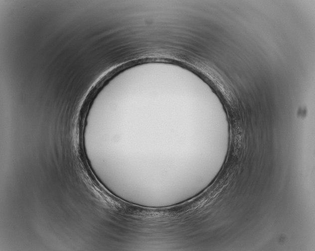 X0000097591076200803211631