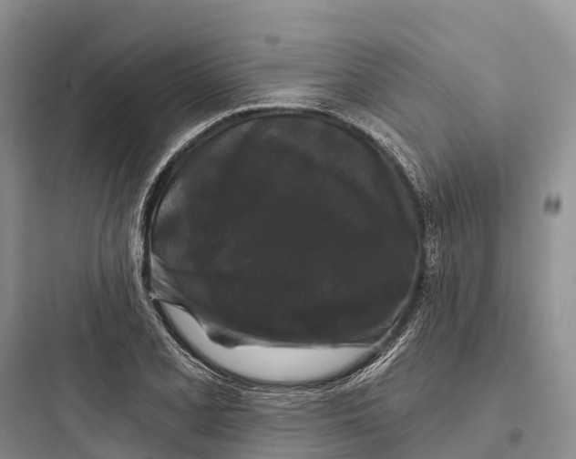 X0000097591077200803211631