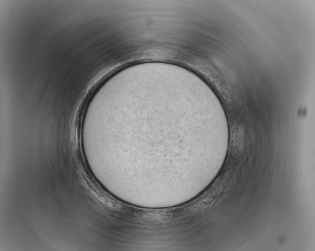 X0000097591078200803211631