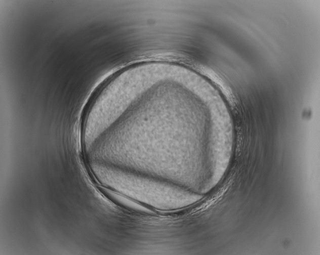 X0000097591079200803211631