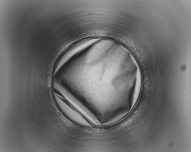 X0000097591081200803211631