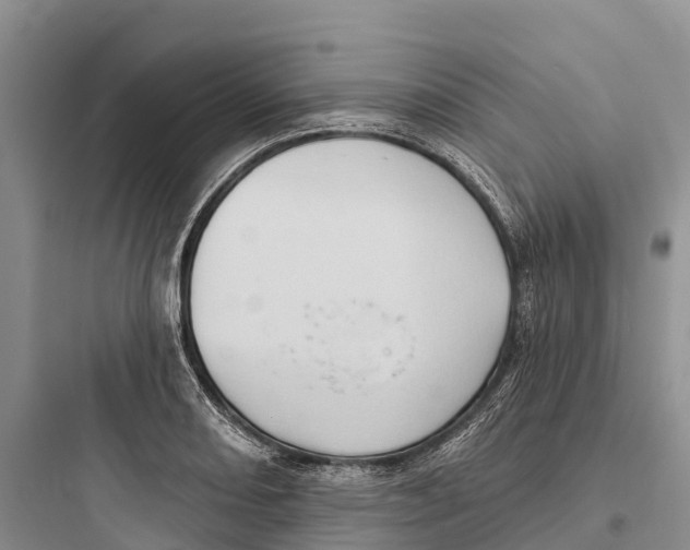 X0000097591082200803211631