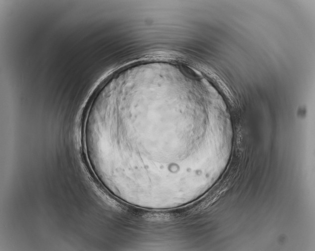 X0000097591083200803211631