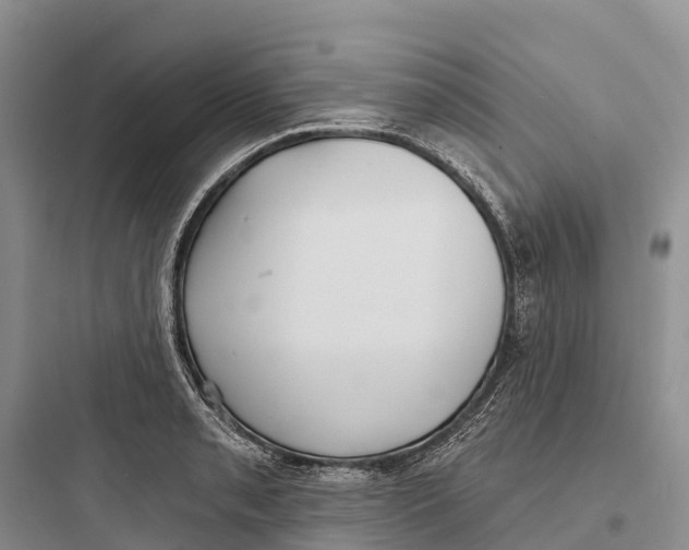 X0000097591085200803211631