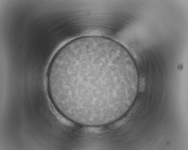 X0000097591086200803211631