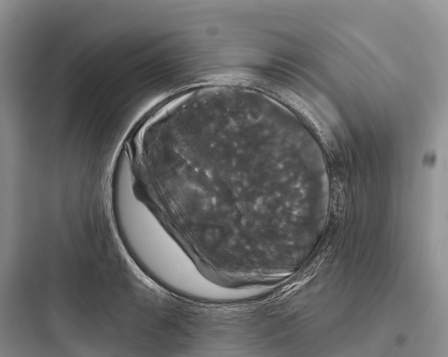 X0000097591087200803211631