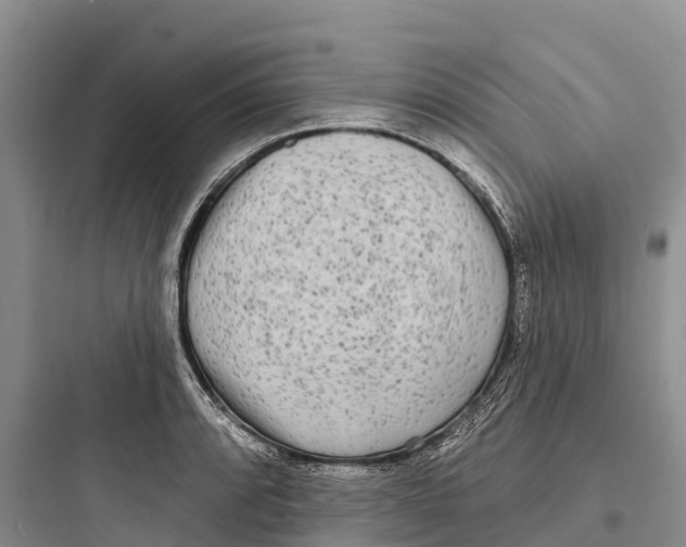 X0000097591088200803211631