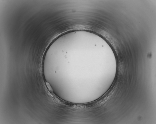 X0000097591089200803211631