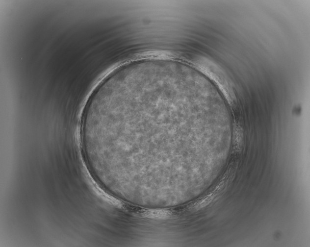 X0000097591090200803211631