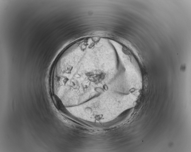 X0000097591091200803211631