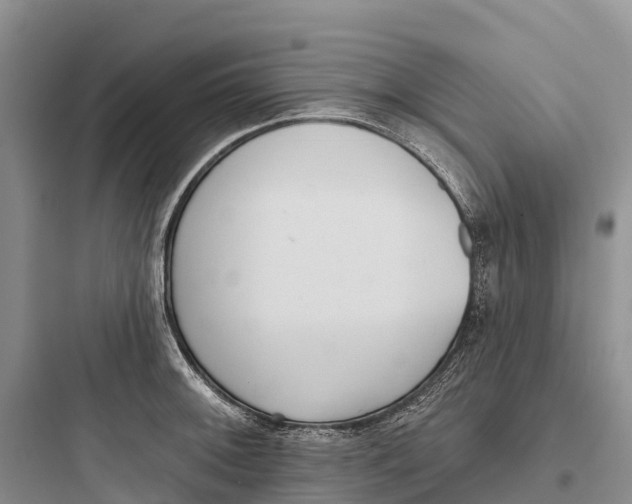 X0000097591092200803211631