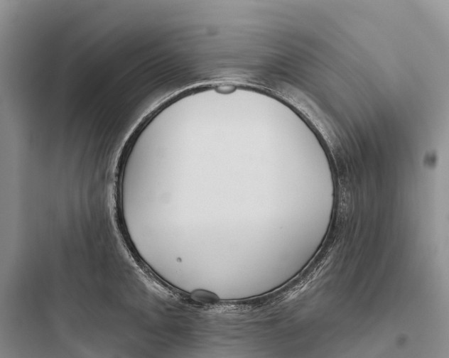 X0000097591093200803211631