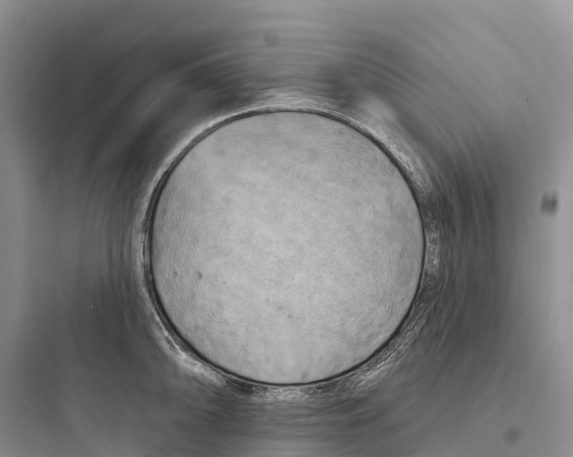 X0000097591094200803211631