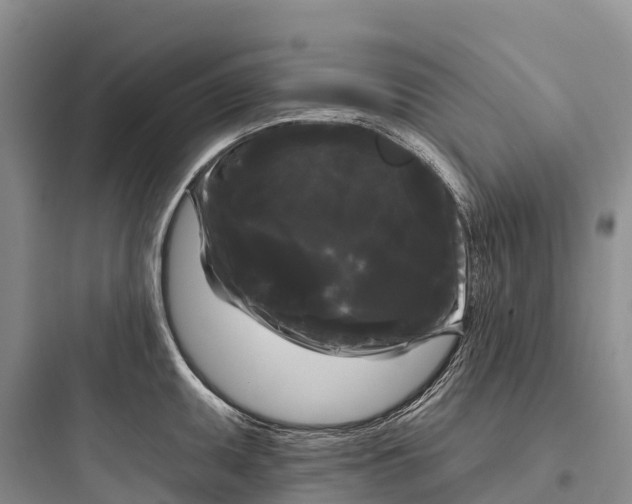 X0000097591095200803211630