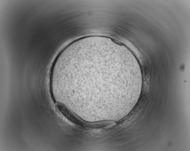 X0000097591096200803211630